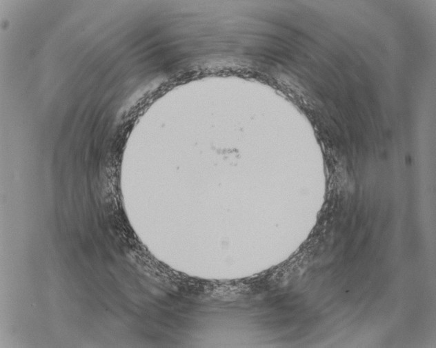 X0000078230824200611251212