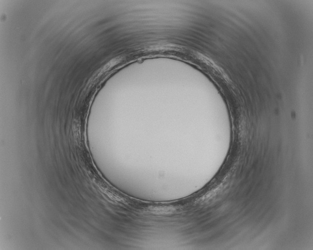 X0000078230825200611251212