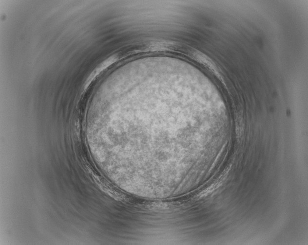 X0000078230827200611251212