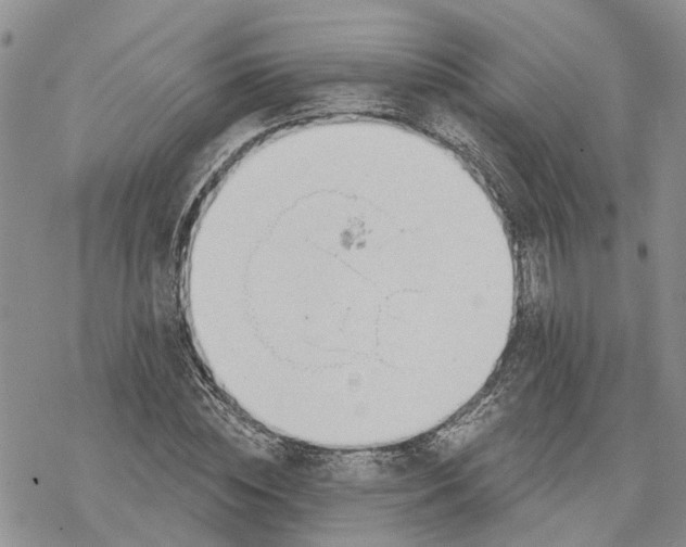 X0000078230828200611251212