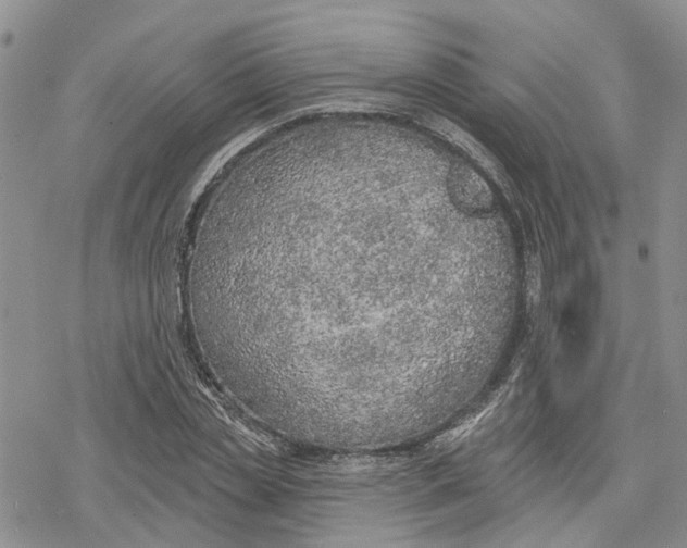 X0000078230829200611251212