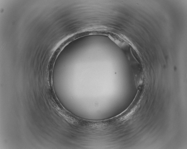 X0000078230830200611251212