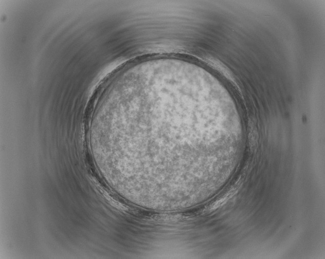 X0000078230831200611251212