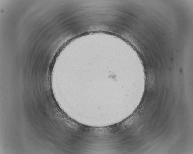 X0000078230832200611251212