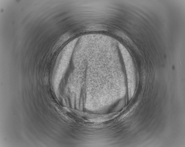 X0000078230833200611251212