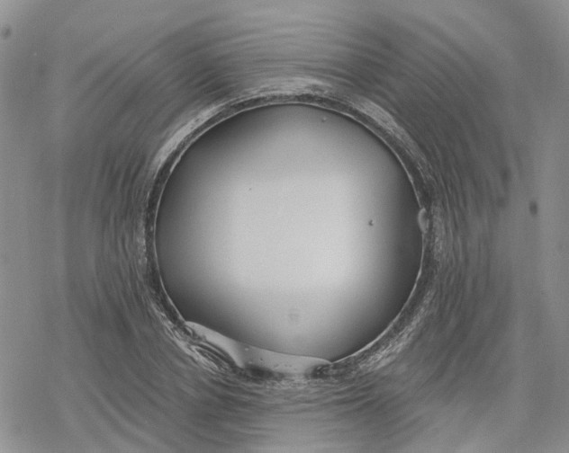 X0000078230834200611251212