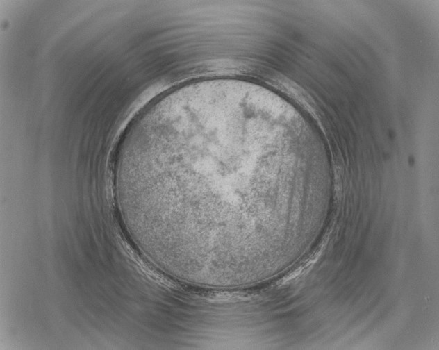 X0000078230835200611251212