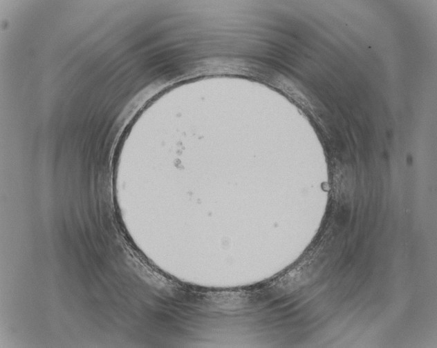 X0000078230836200611251212