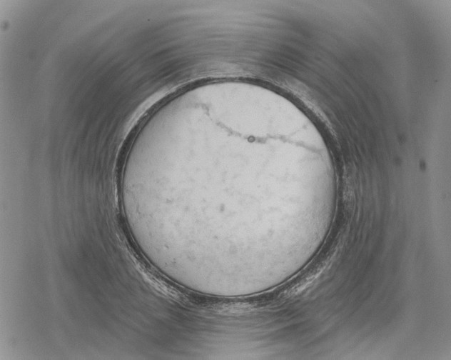 X0000078230837200611251212