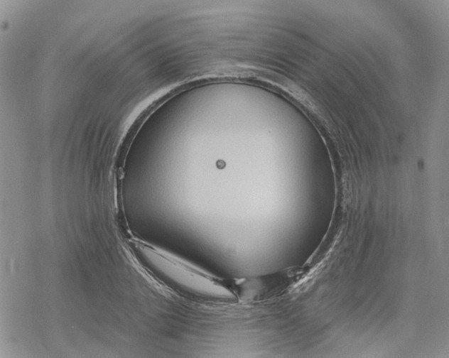 X0000078230838200611251212