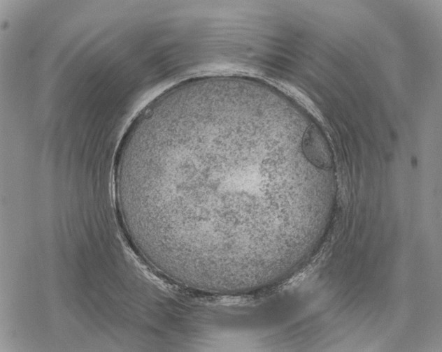 X0000078230839200611251212