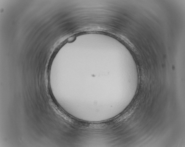 X0000078230840200611251212