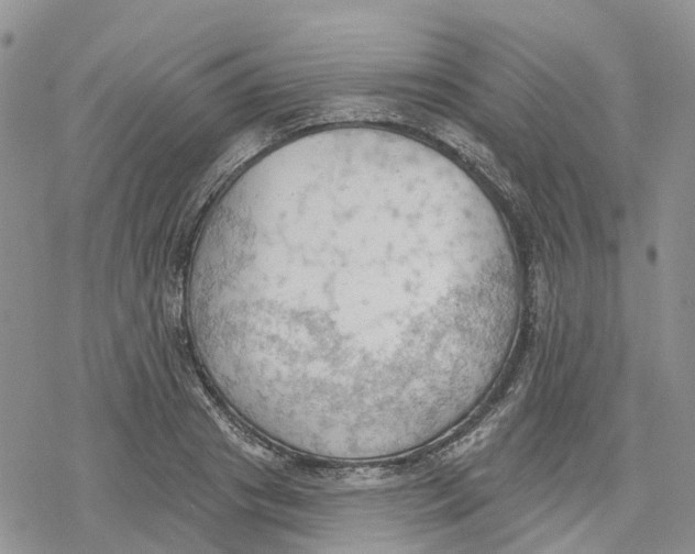 X0000078230841200611251212