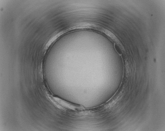 X0000078230842200611251212