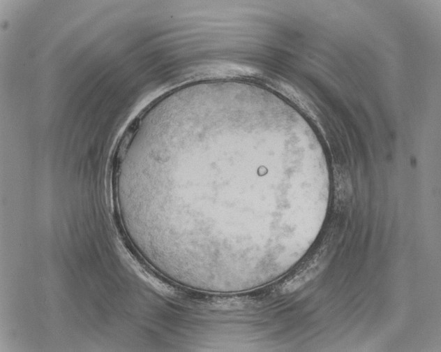 X0000078230843200611251212