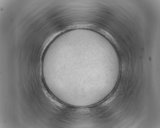 X0000078230844200611251212