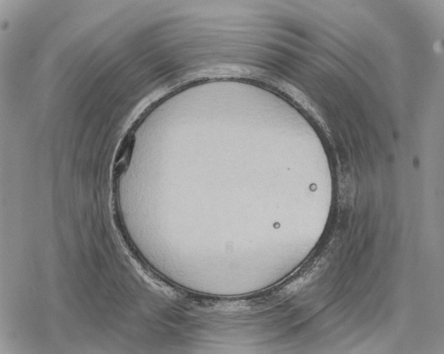 X0000078230845200611251212