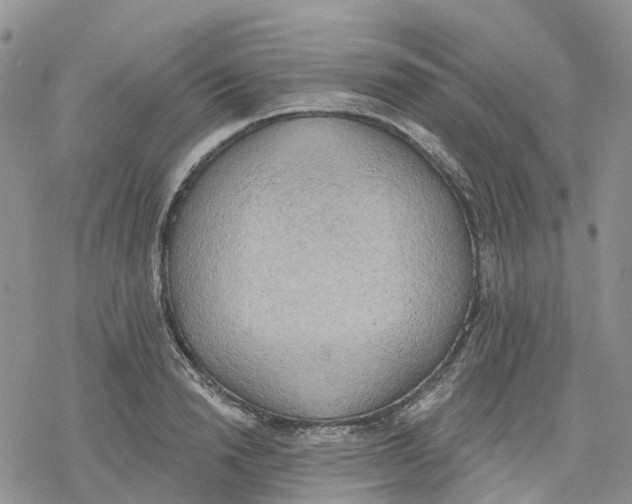 X0000078230846200611251212