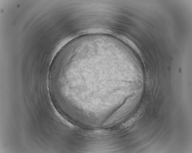 X0000078230847200611251212