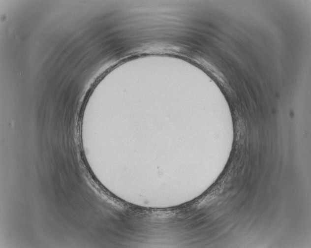 X0000078230848200611251212