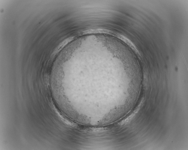 X0000078230849200611251212