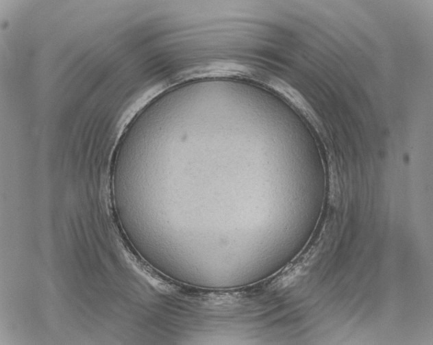 X0000078230850200611251212