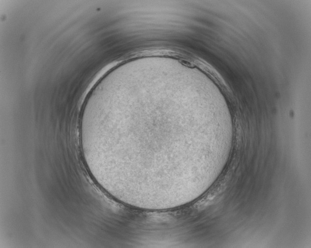 X0000078230852200611251212