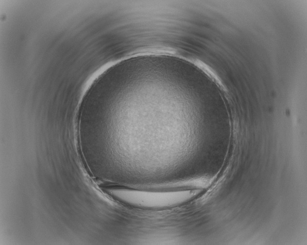 X0000078230854200611251212