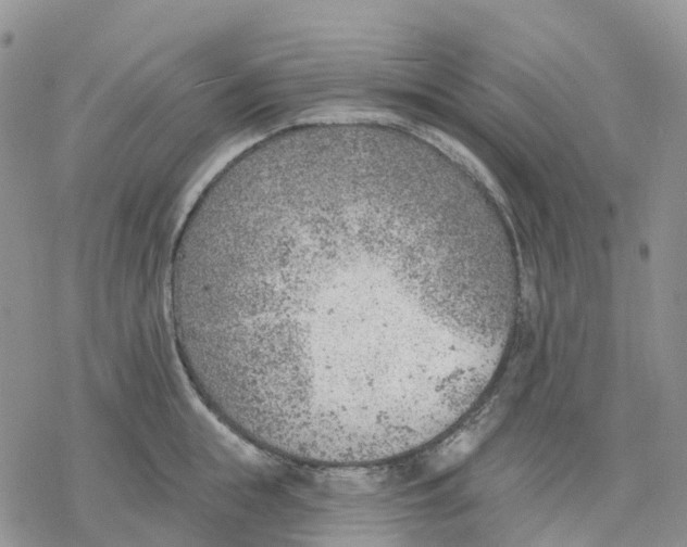 X0000078230855200611251212