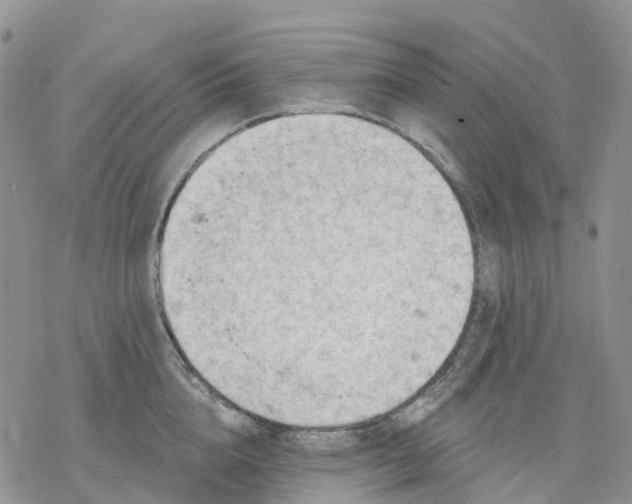 X0000078230856200611251212