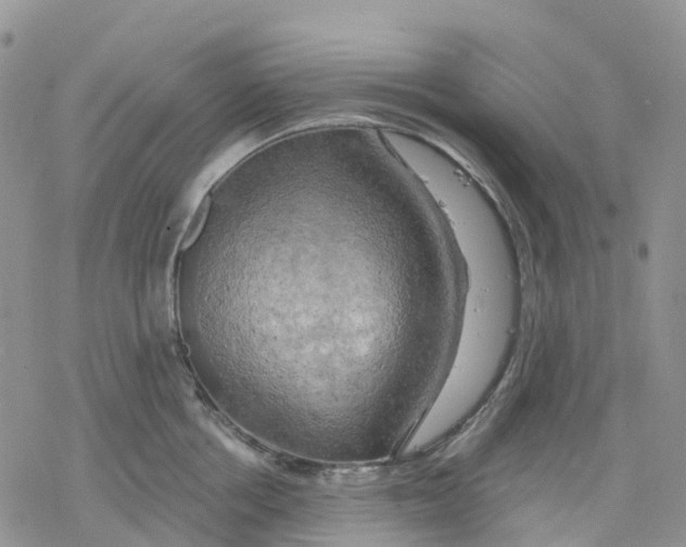 X0000078230858200611251212