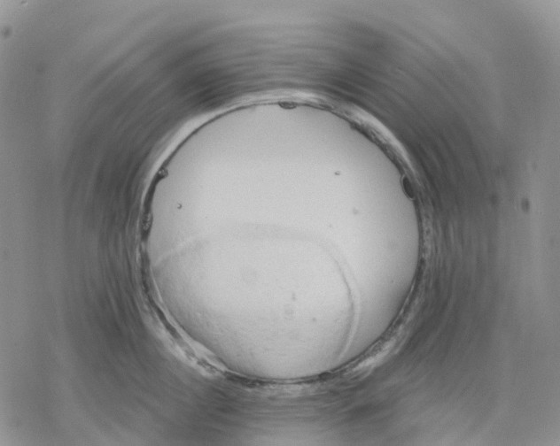 X0000078230860200611251212