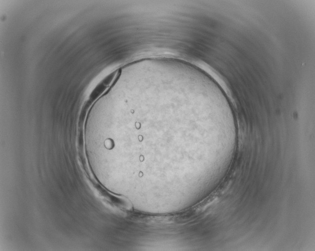 X0000078230861200611251212