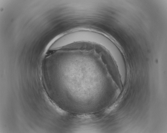 X0000078230862200611251212