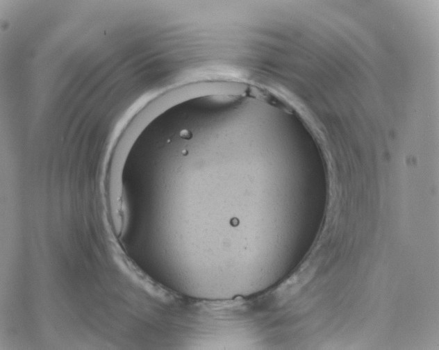 X0000078230864200611251212