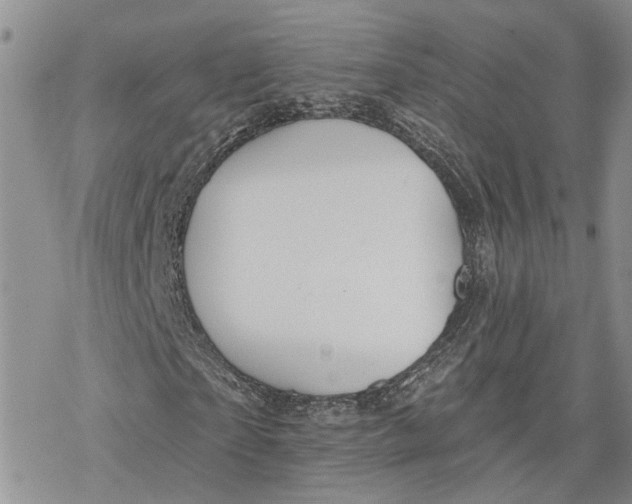 X0000078230865200611251211