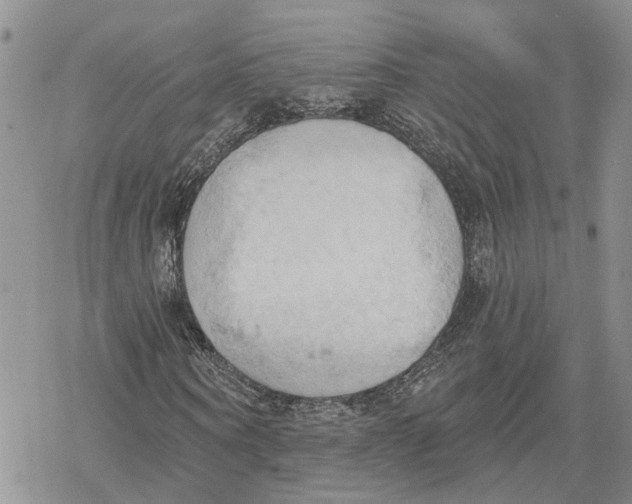 X0000078230866200611251211