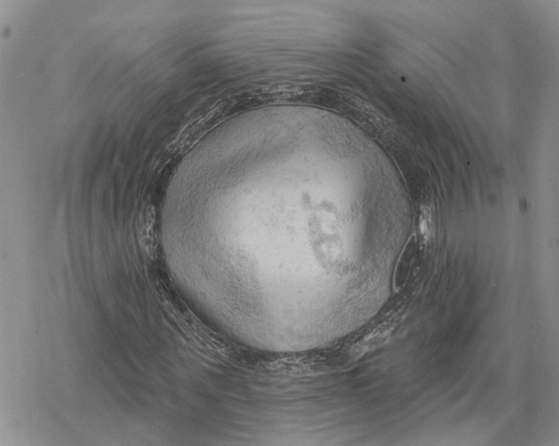 X0000078230867200611251211