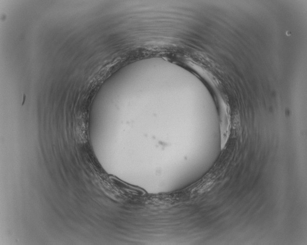 X0000078230868200611251211