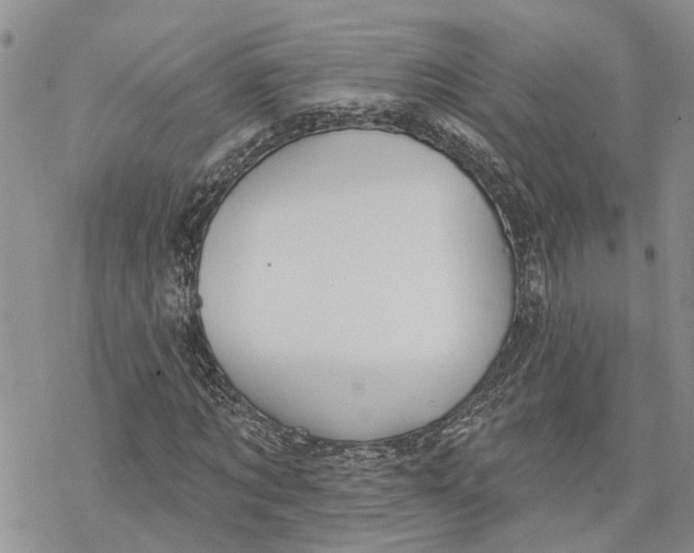 X0000078230869200611251211