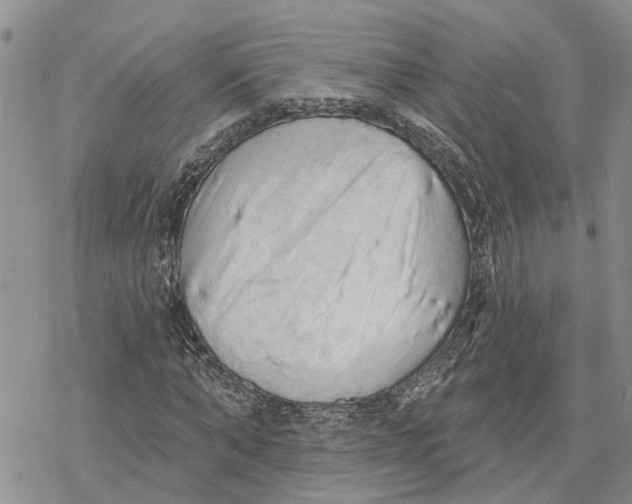 X0000078230870200611251211