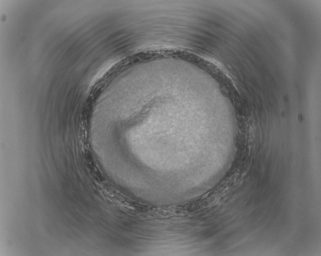 X0000078230871200611251211