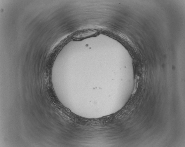 X0000078230872200611251211