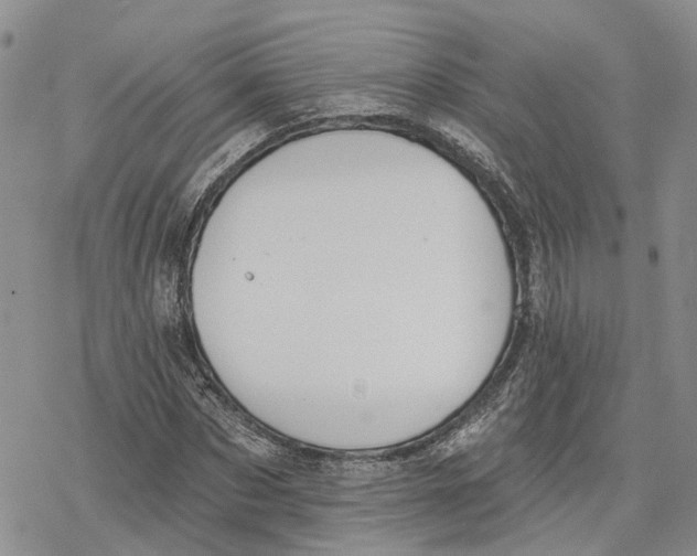 X0000078230873200611251211