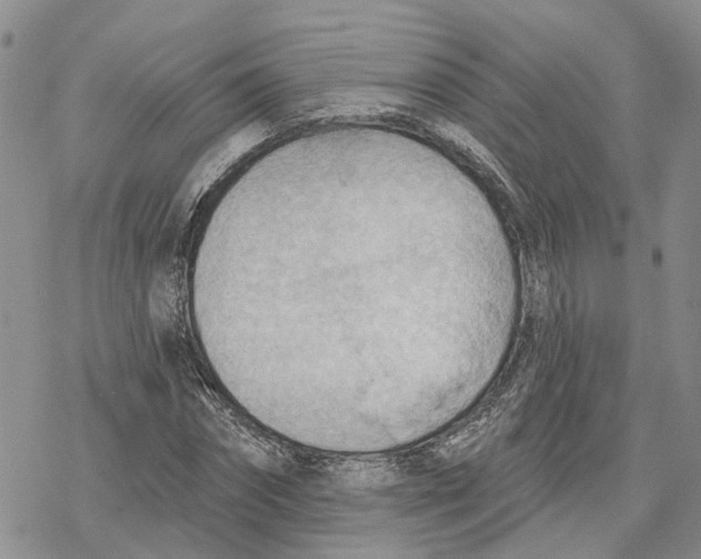 X0000078230874200611251211