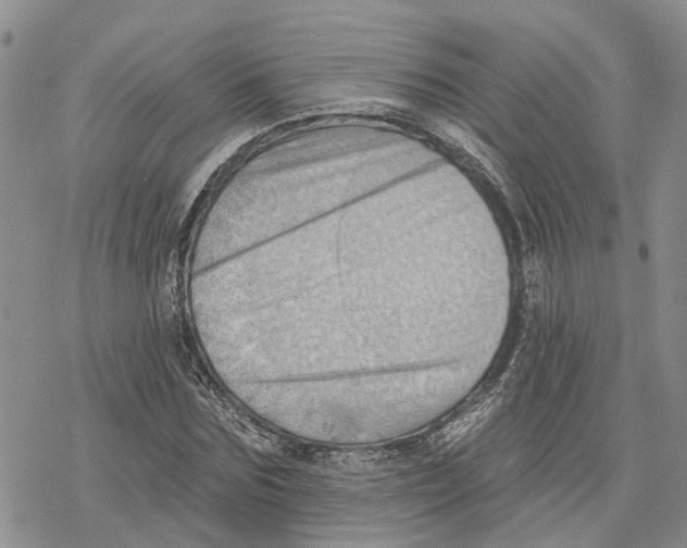 X0000078230875200611251211