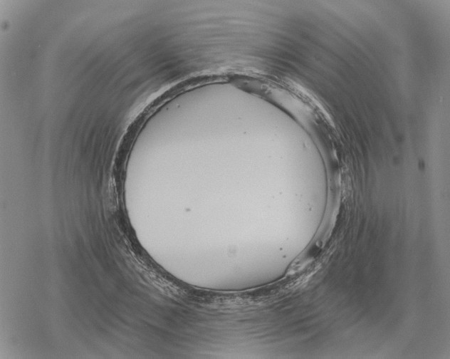 X0000078230876200611251211