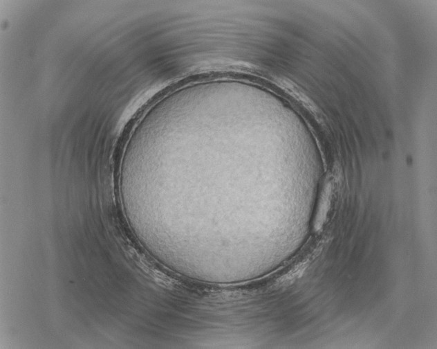 X0000078230877200611251211