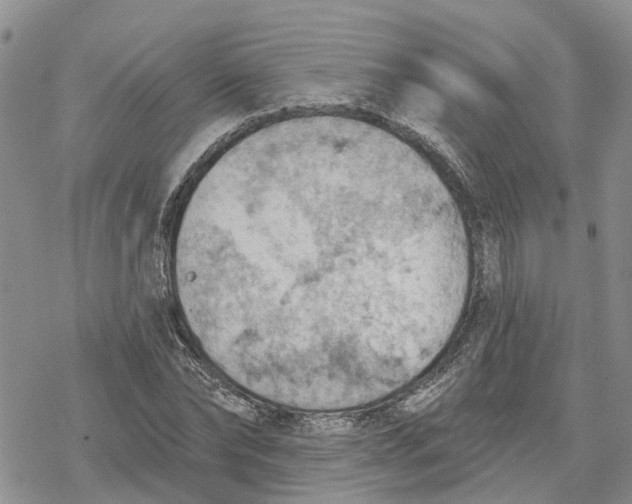 X0000078230878200611251211