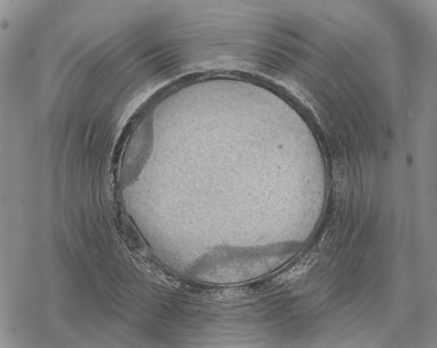 X0000078230879200611251211